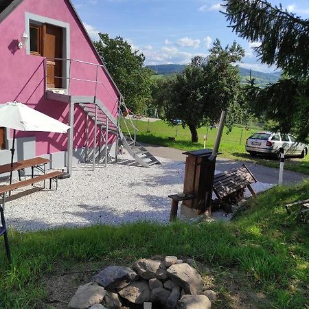 Apartman Sumava U Rybaku Volenice  Exterior photo