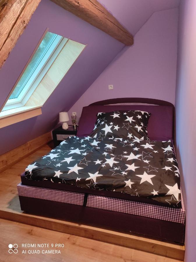 Apartman Sumava U Rybaku Volenice  Exterior photo